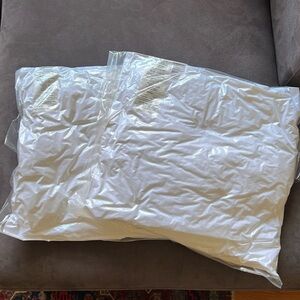 Two Crate & Barrel 20” x 20” Pillow Inserts